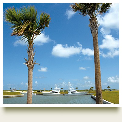 Two Palm Trees With Two Boats Docked in Background